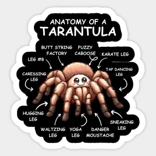 Cute Tarantula Sticker